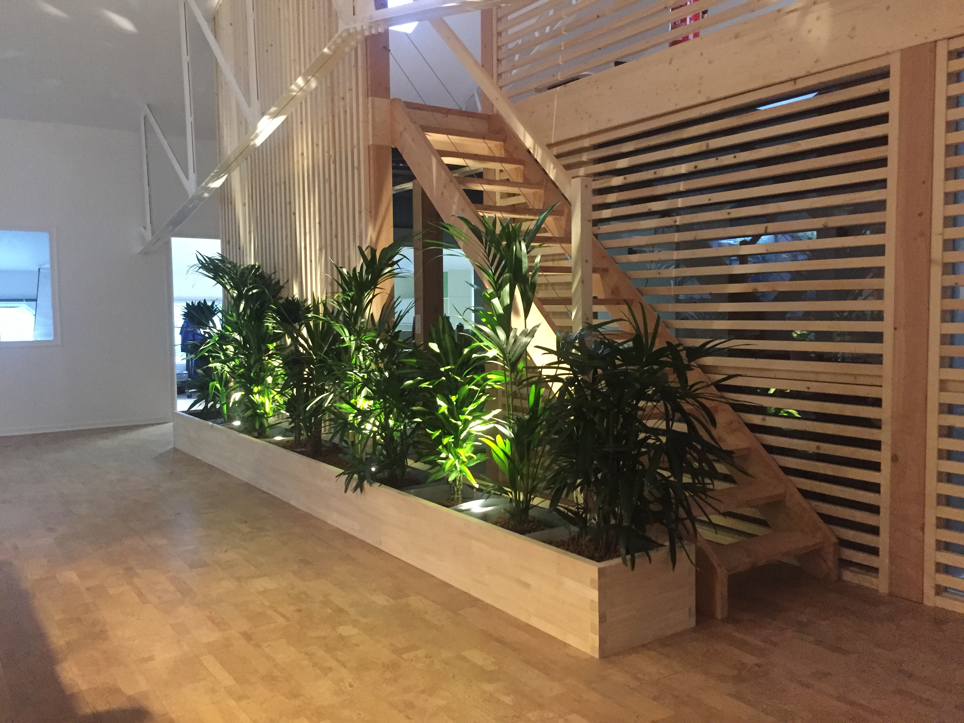 Specific works and studies